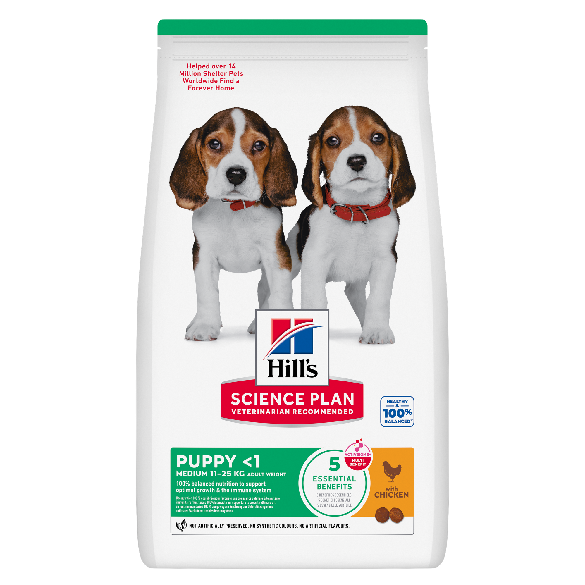 Hills-puppy medium-su vištiena