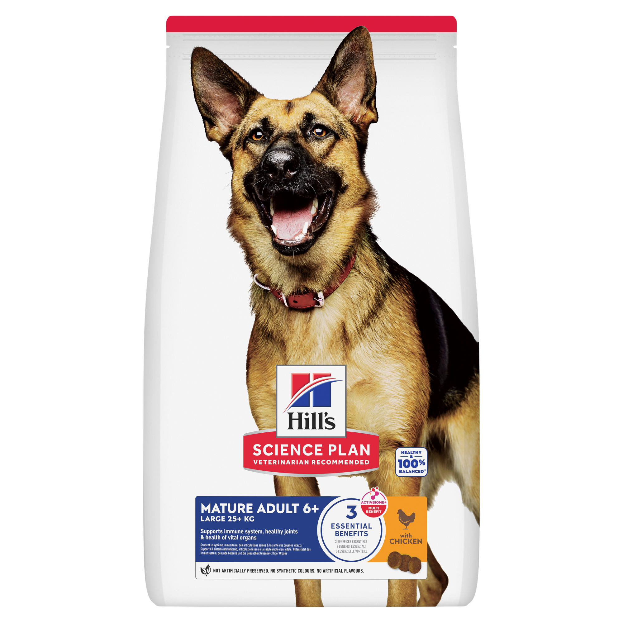 hiils- senior-large bread